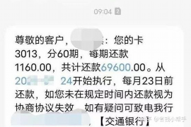 索县为什么选择专业追讨公司来处理您的债务纠纷？